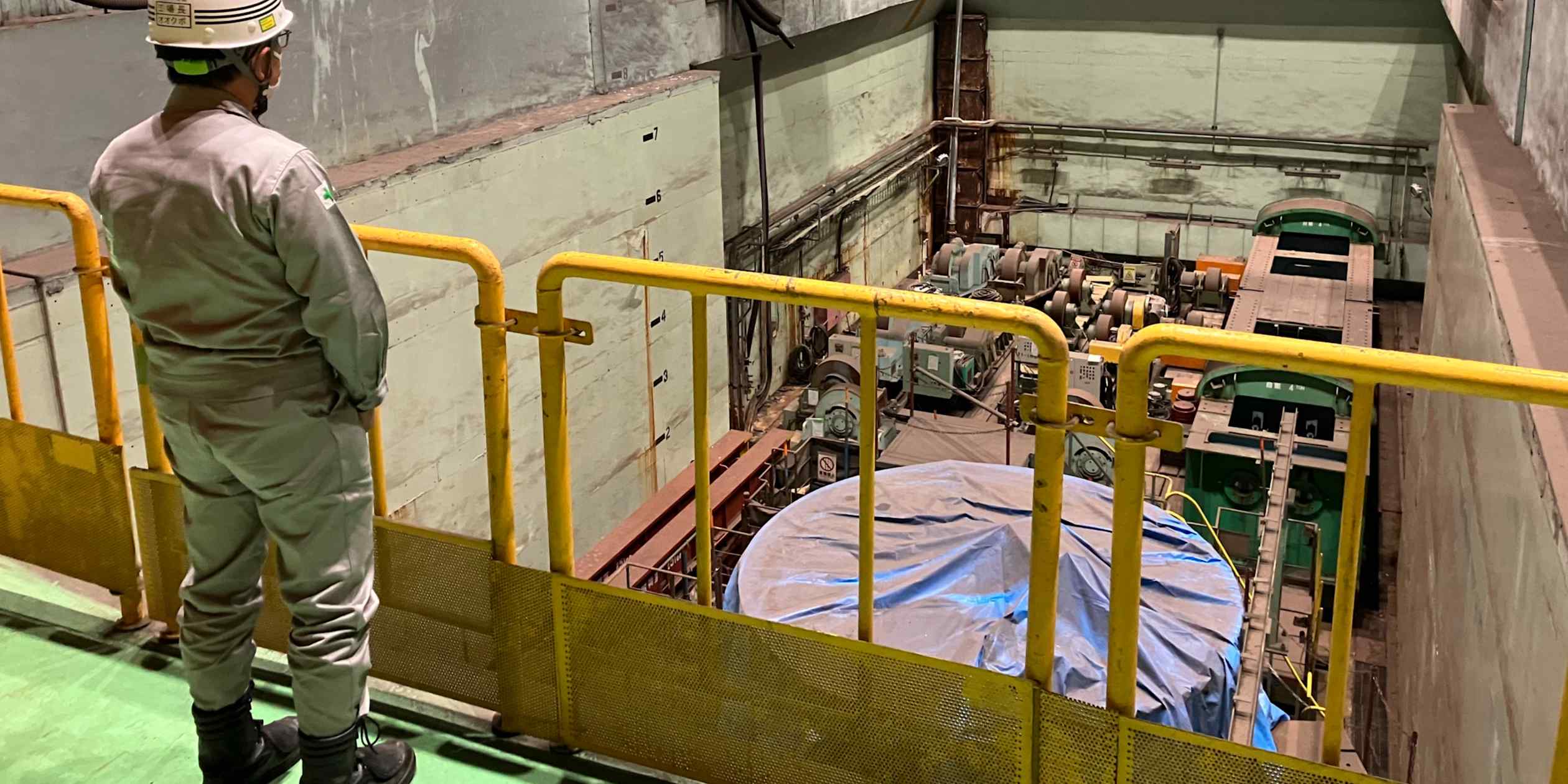 Nuclear Export Contests Force Harsh Asset Decisions on Emerging Grids
