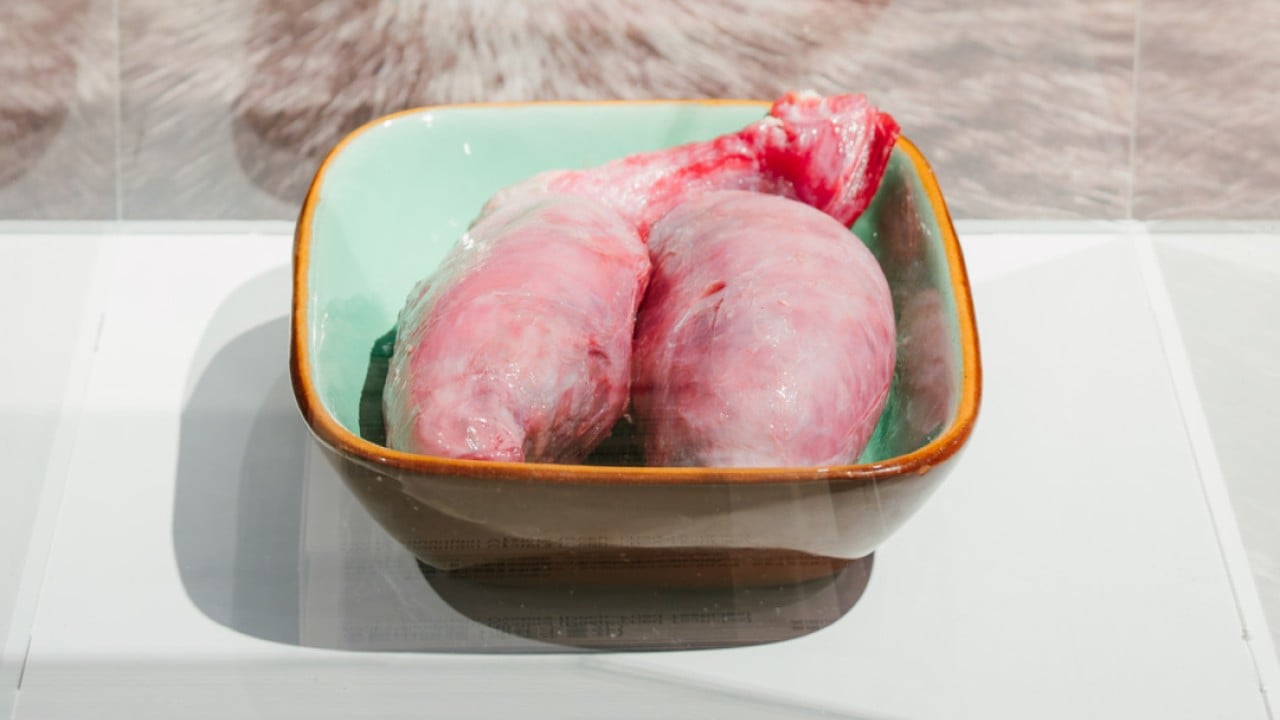 A Swedish Museum's Hong Kong Show Questions What Asia Calls 'Disgusting'