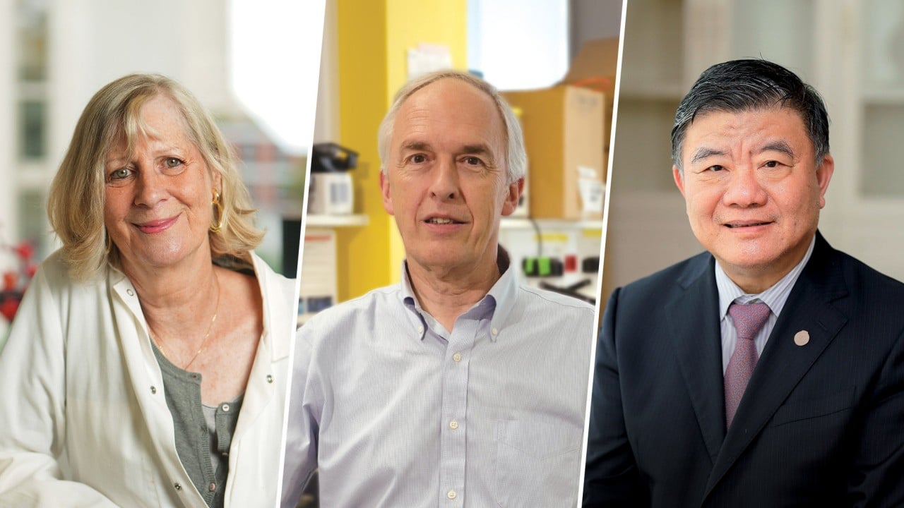 Collaboration Across Borders: A Recurring Theme Beyond Scientific Research