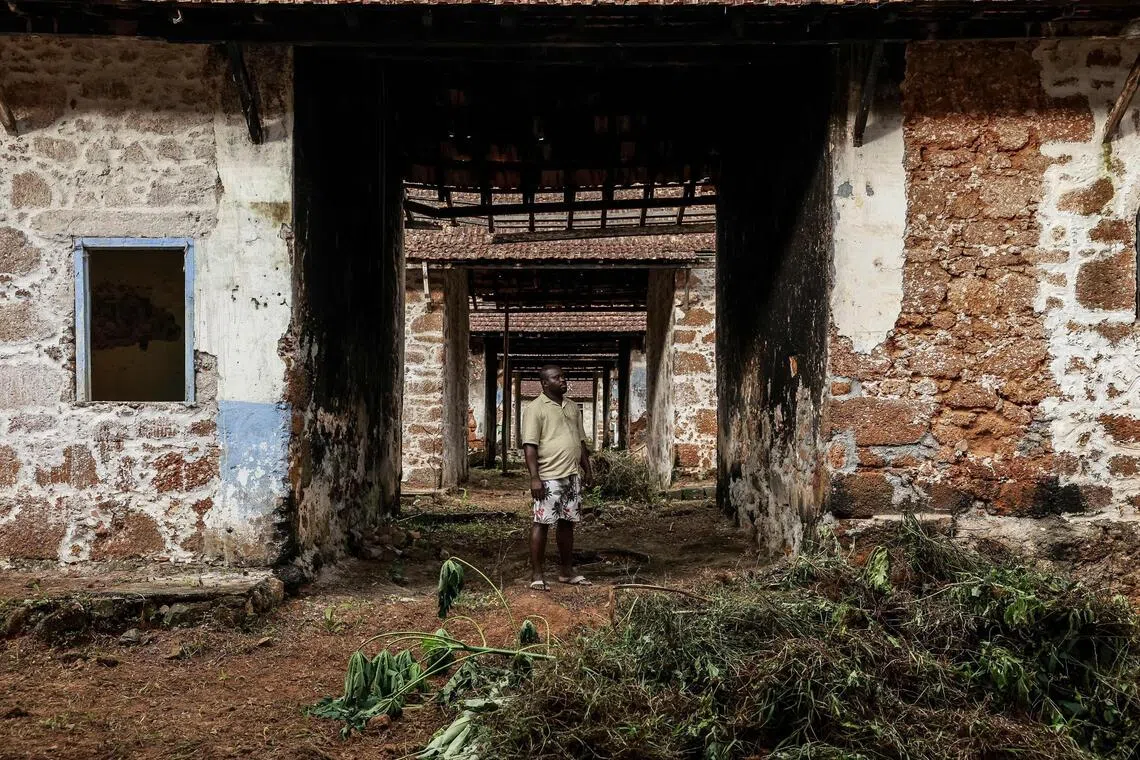 Echoes of History: Sao Tome’s Plantations and Asia's Cultural Reckoning