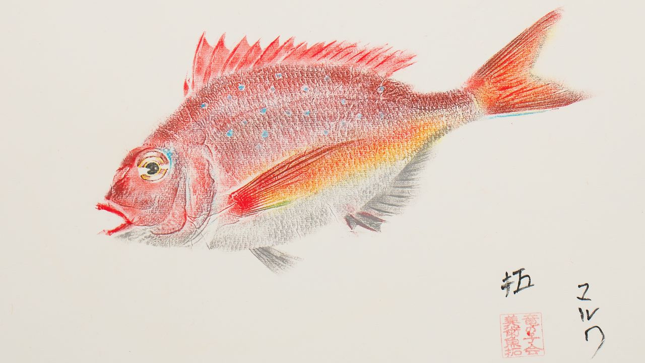 Gyotaku’s Digital Echoes: The Shifting Canvas of Cultural Preservation