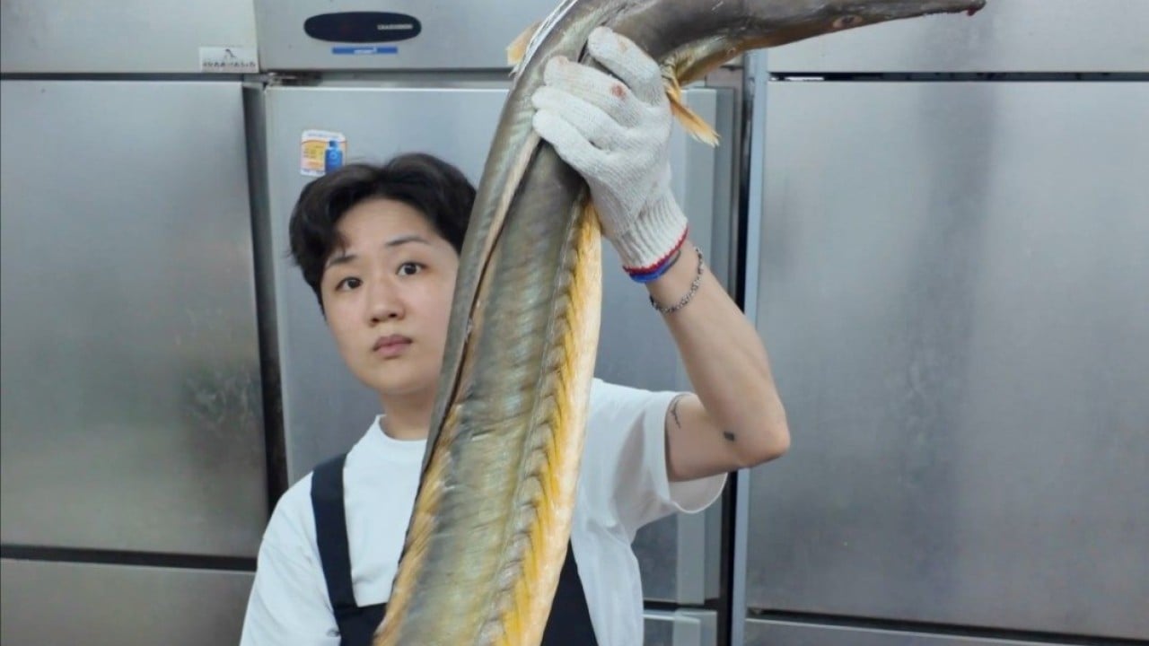 The 'Staging' Series: Culinary Narratives Beyond the Plate