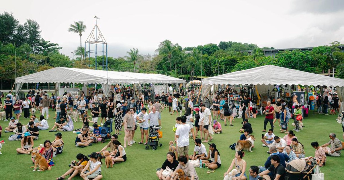 When pets become 'fur kids': What Asia-Pacific Halloween events reveal about urban life
