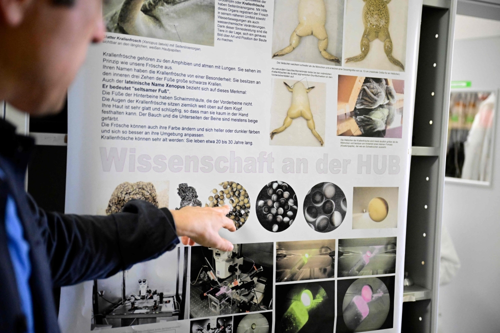 Optogenetics Nobel Prize Points to Long-Term Healthcare Costs and Access