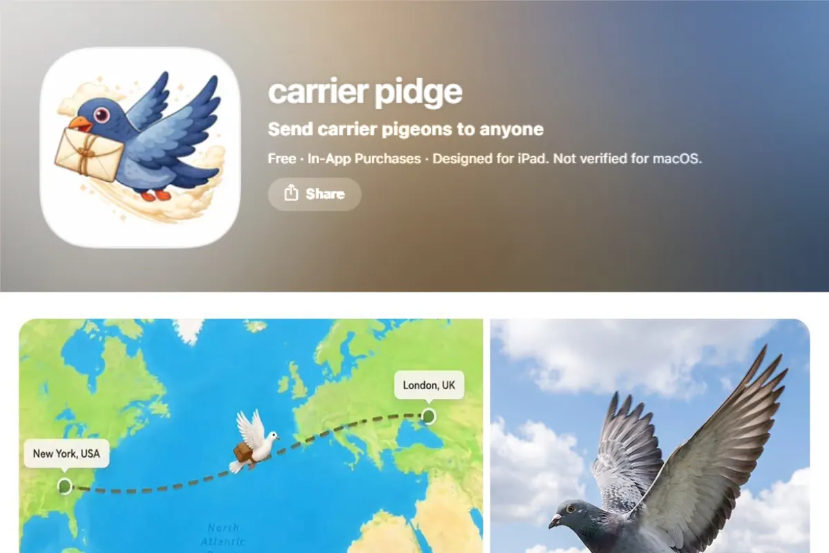 The Deliberate Pace of Digital Pigeons in Asia