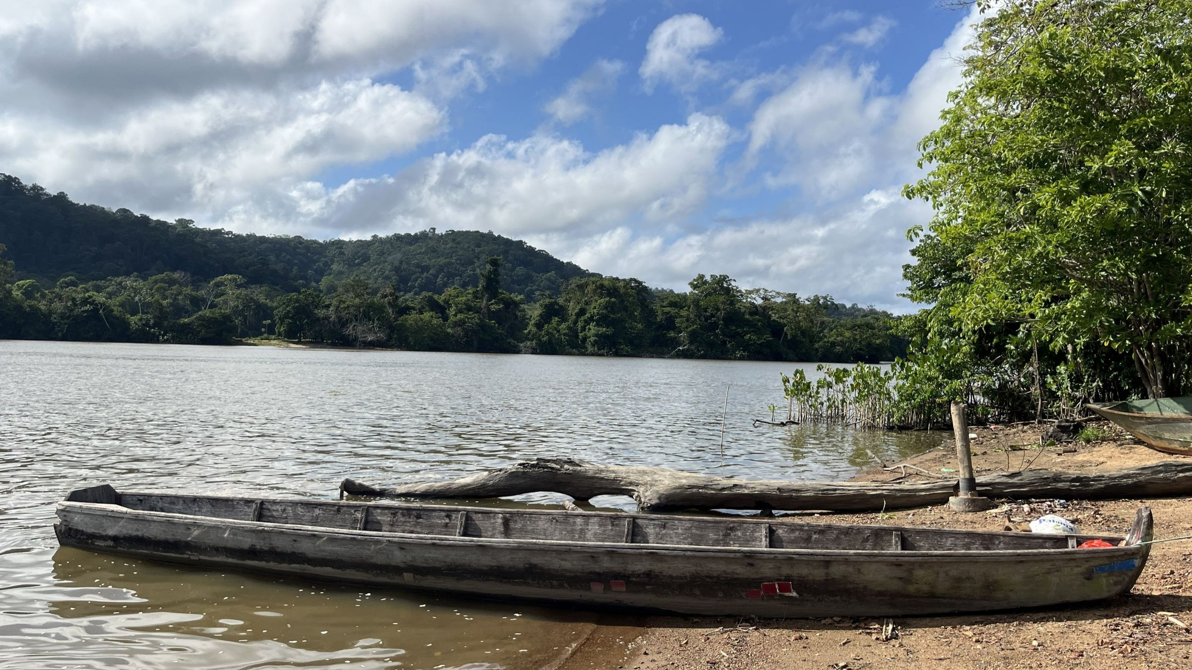 The Fractured Frontier of Amazonian Gold