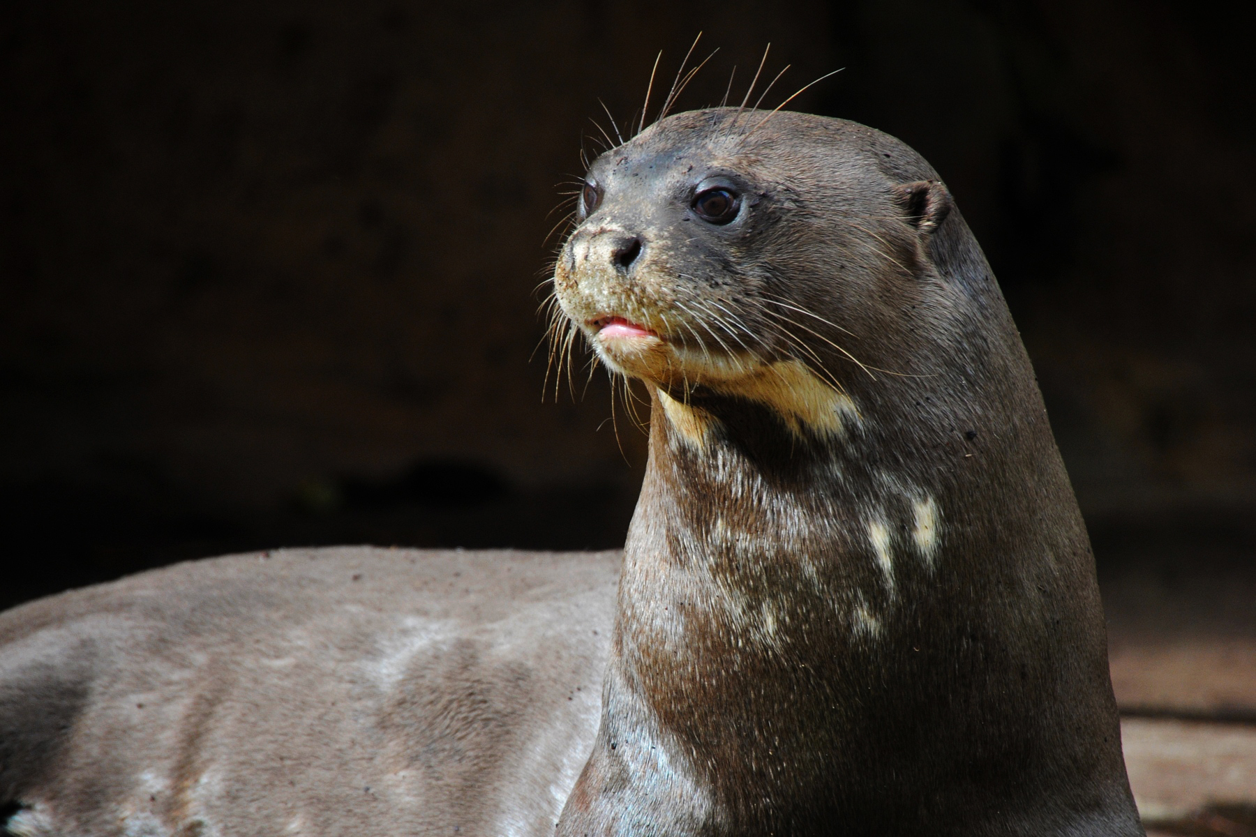 The Fragile Economy of Shared Waters