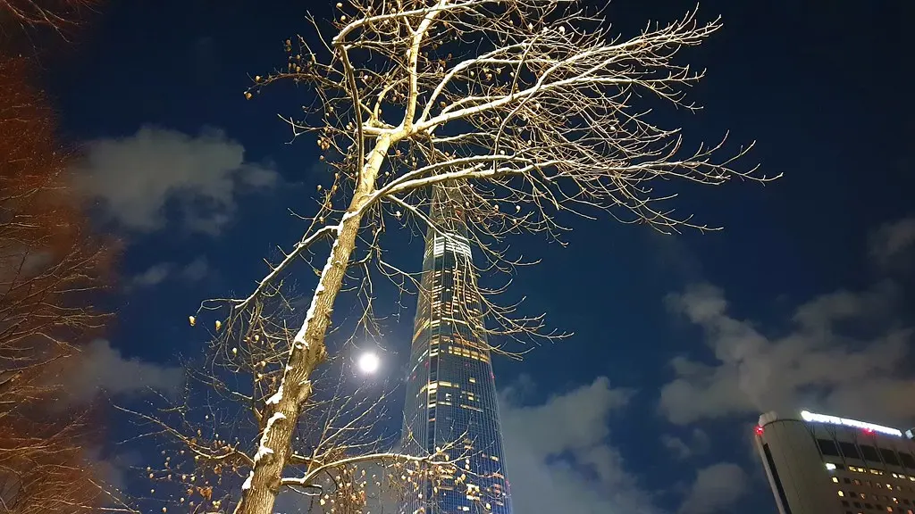 0009-11-15 (2021-12-18) moon 19:41PM after the snow *Seoul