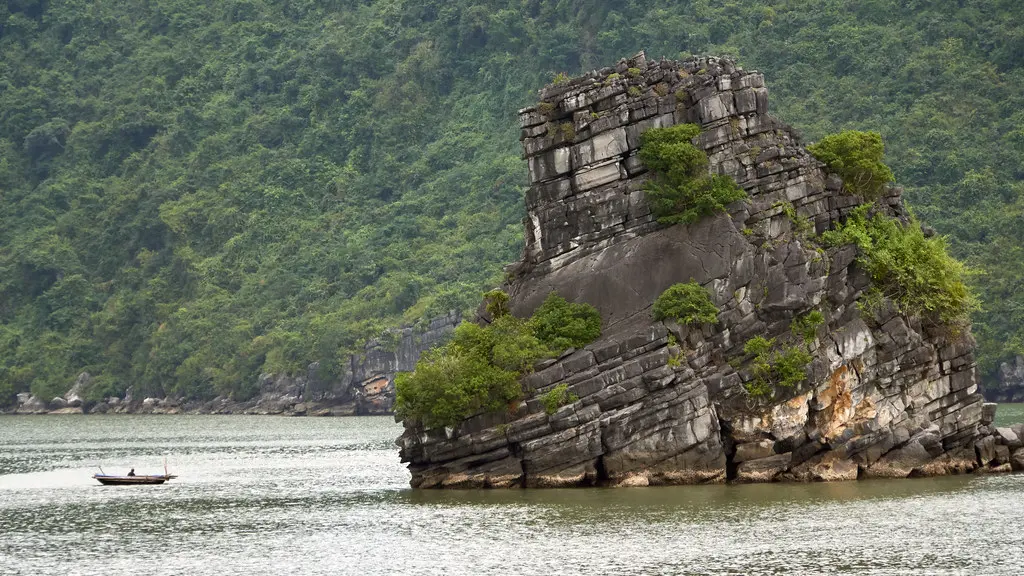 Ocean's Bounty, Vietnam's Future: Dr. Huong on Sustainable Aquaculture's 2026 Horizon