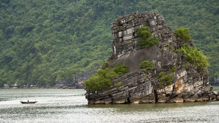 Ocean's Bounty, Vietnam's Future: Dr. Huong on Sustainable Aquaculture's 2026 Horizon