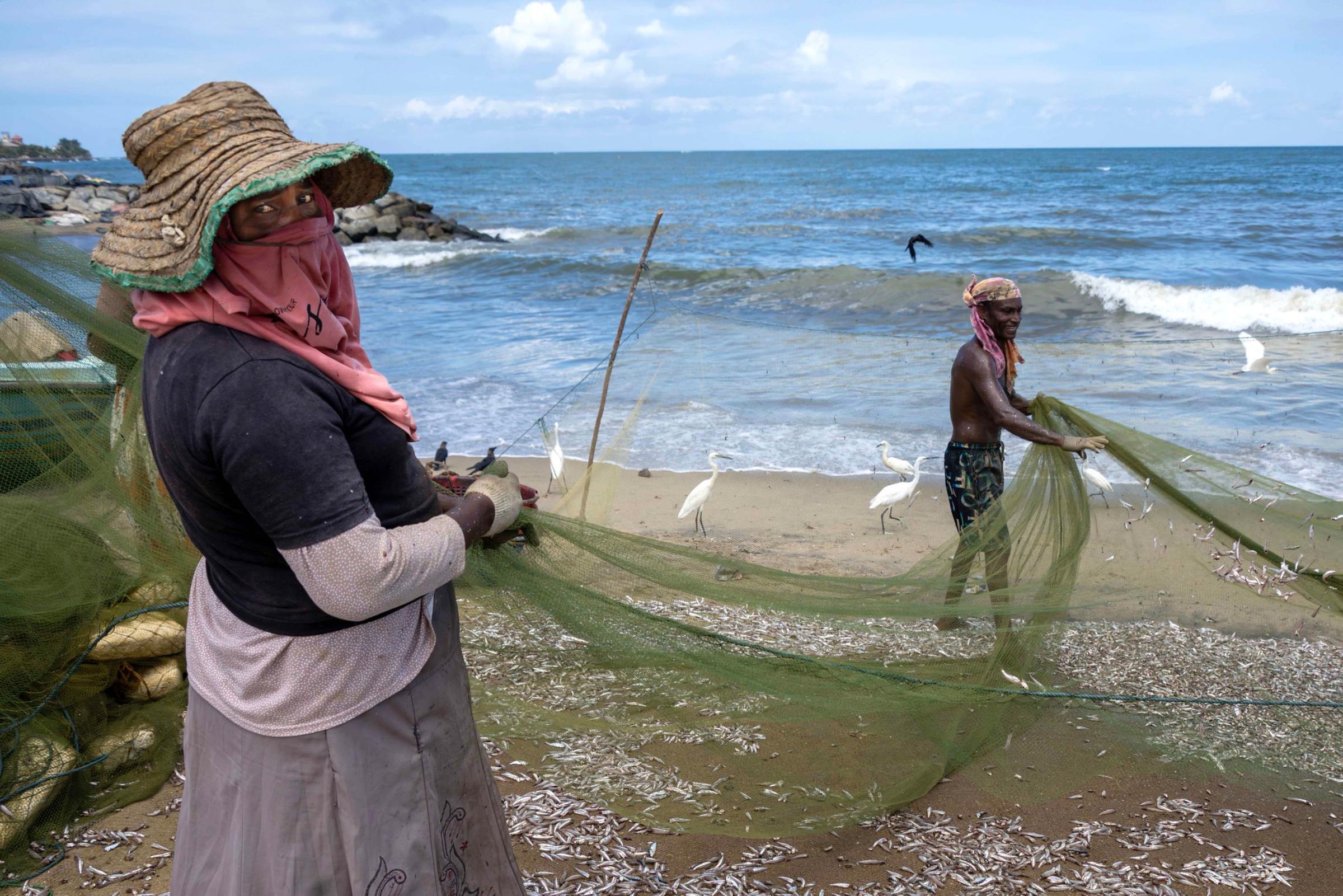 Aquaculture's Expansion Challenges Asia-Pacific Coastal Resilience