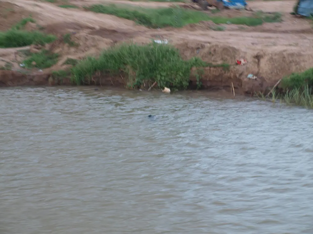 Phnom Penh Boat Tour 81 Person Diving