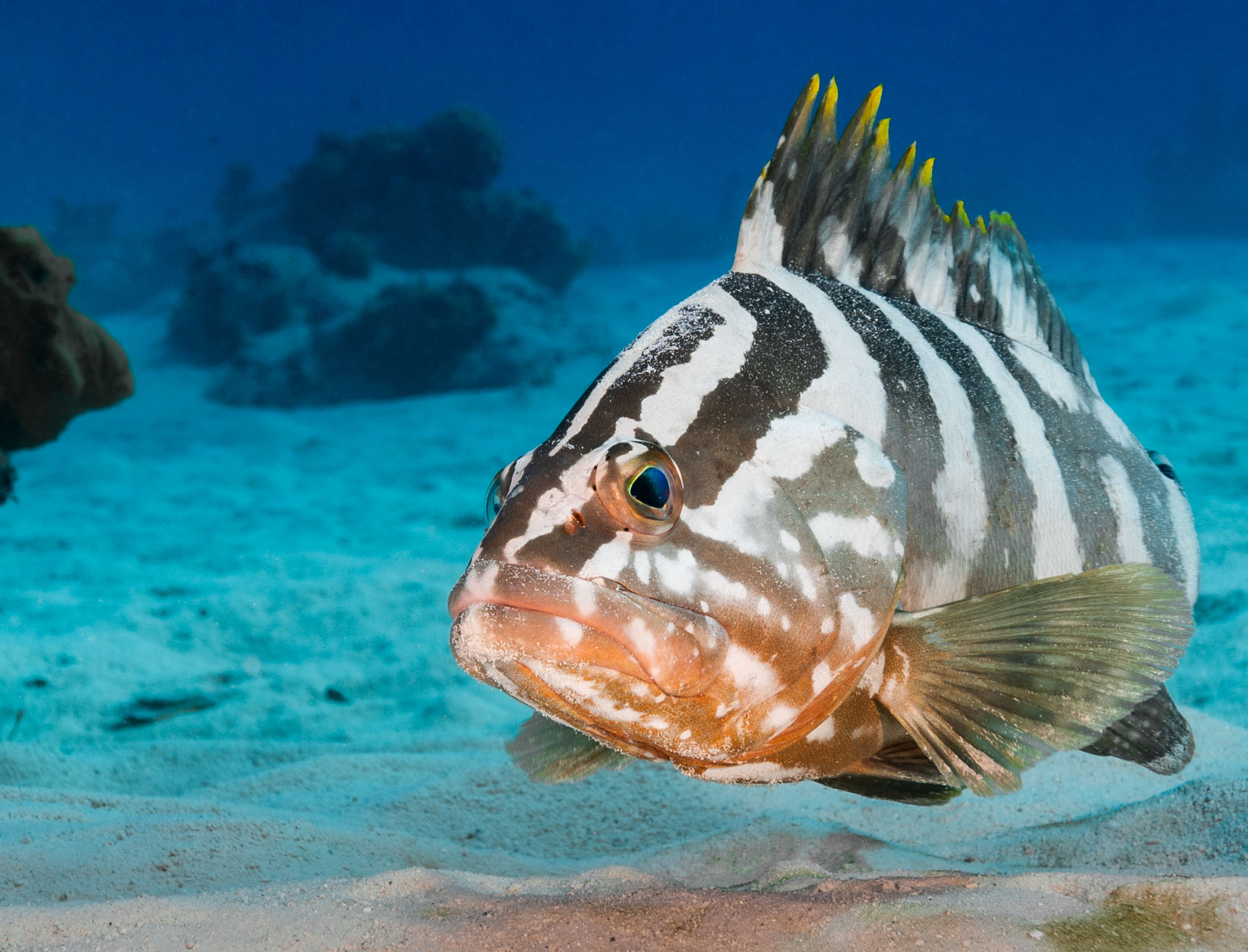 Belize Moves Marine Conservation Offshore to Balance Solvency and Coastal Reality