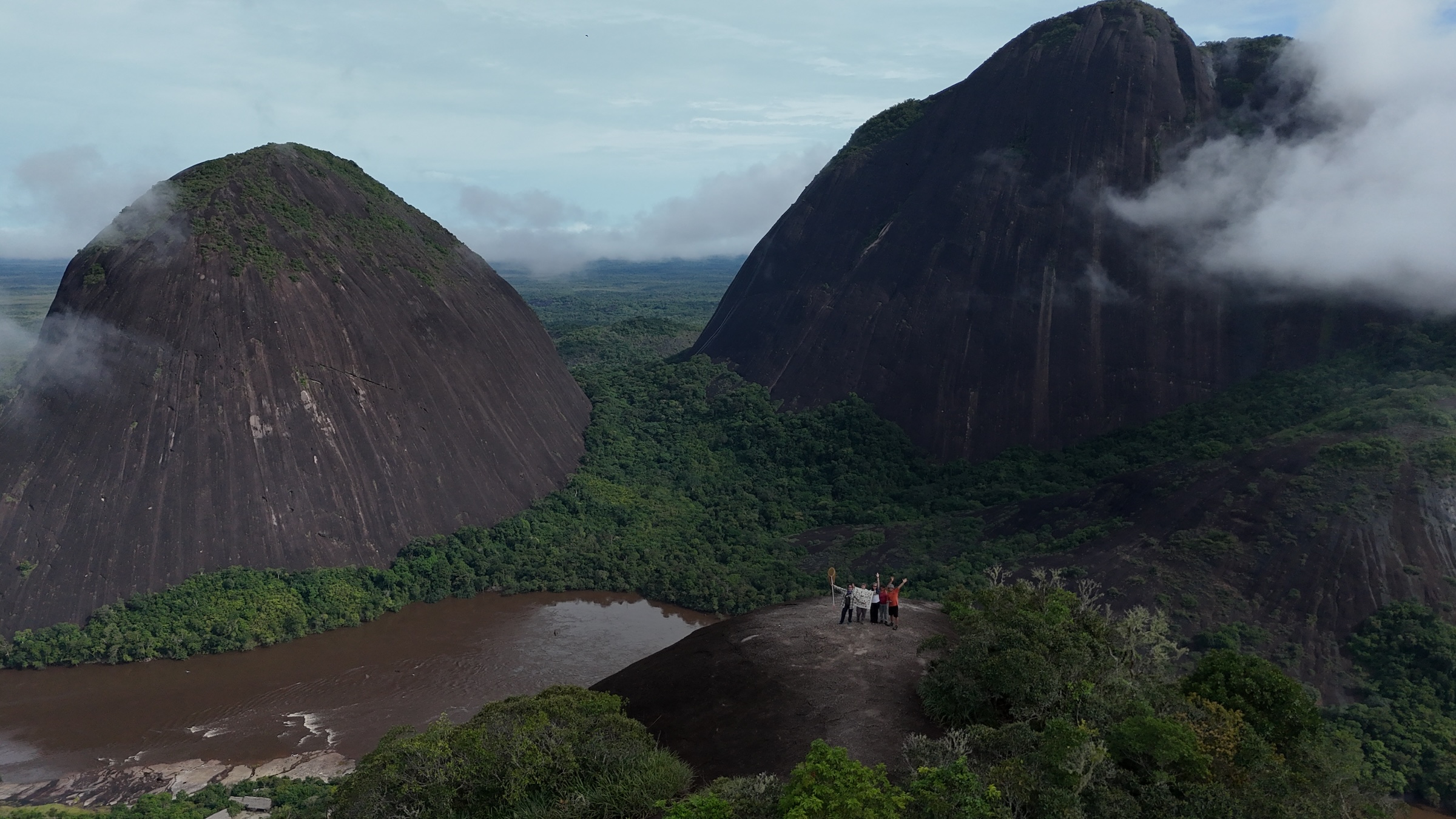 Biodiversity Data Gaps Suggest Undercounting in Asia-Pacific Ecosystems