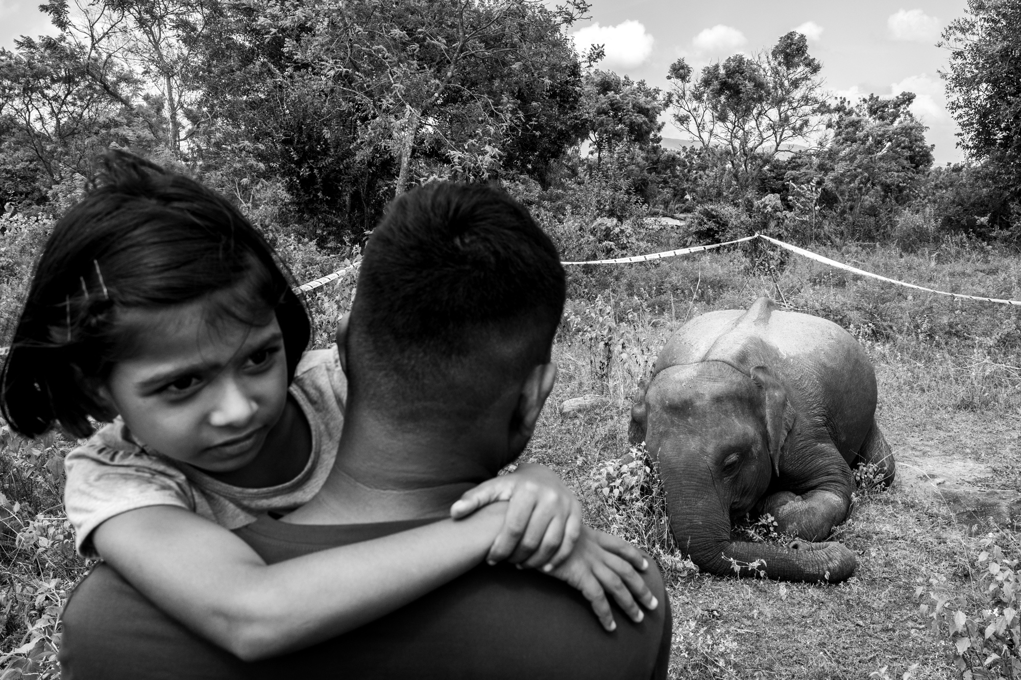 Conflict Photography Reveals Structural Shifts in Human-Wildlife Coexistence