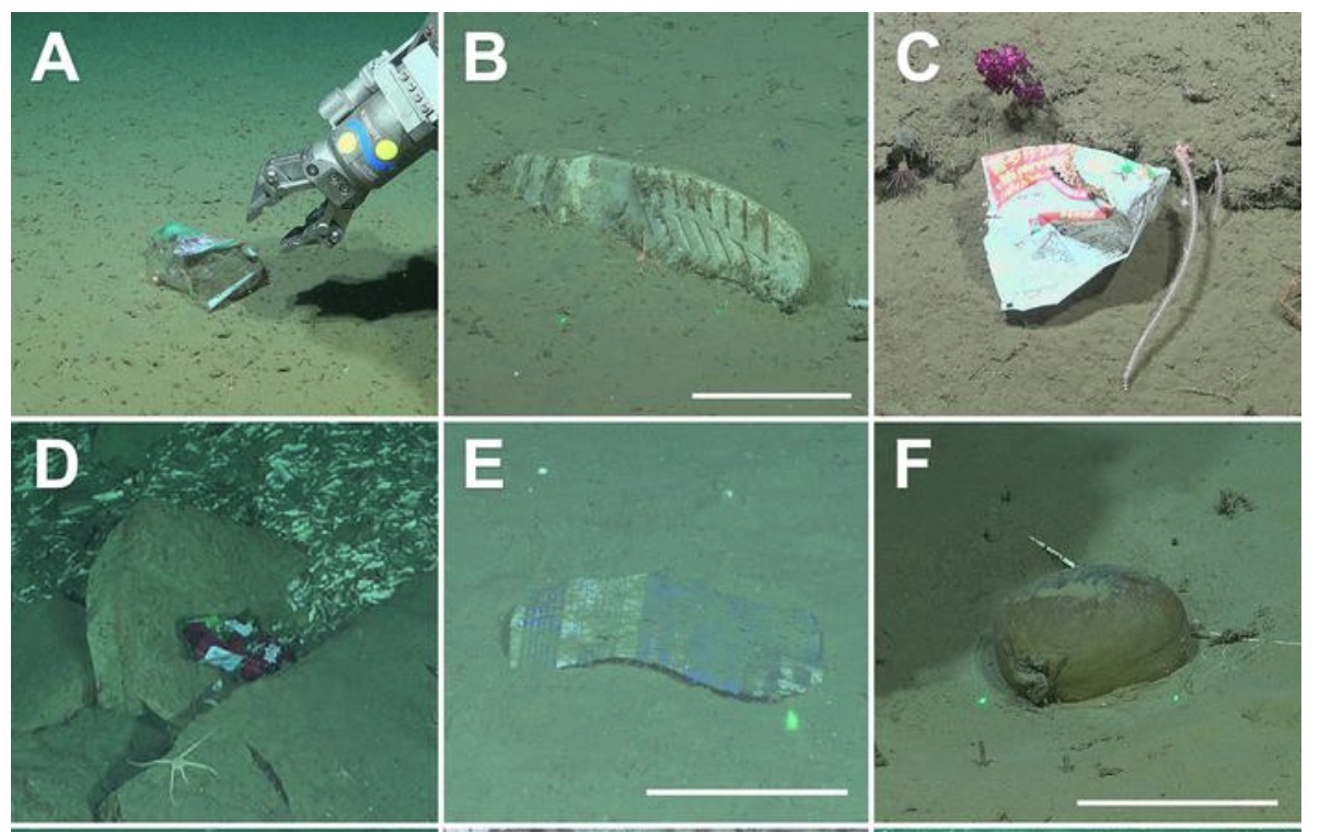 Deep-sea plastic discovery challenges regional waste strategies