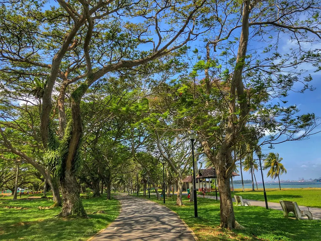Pasir Ris Park - Explore