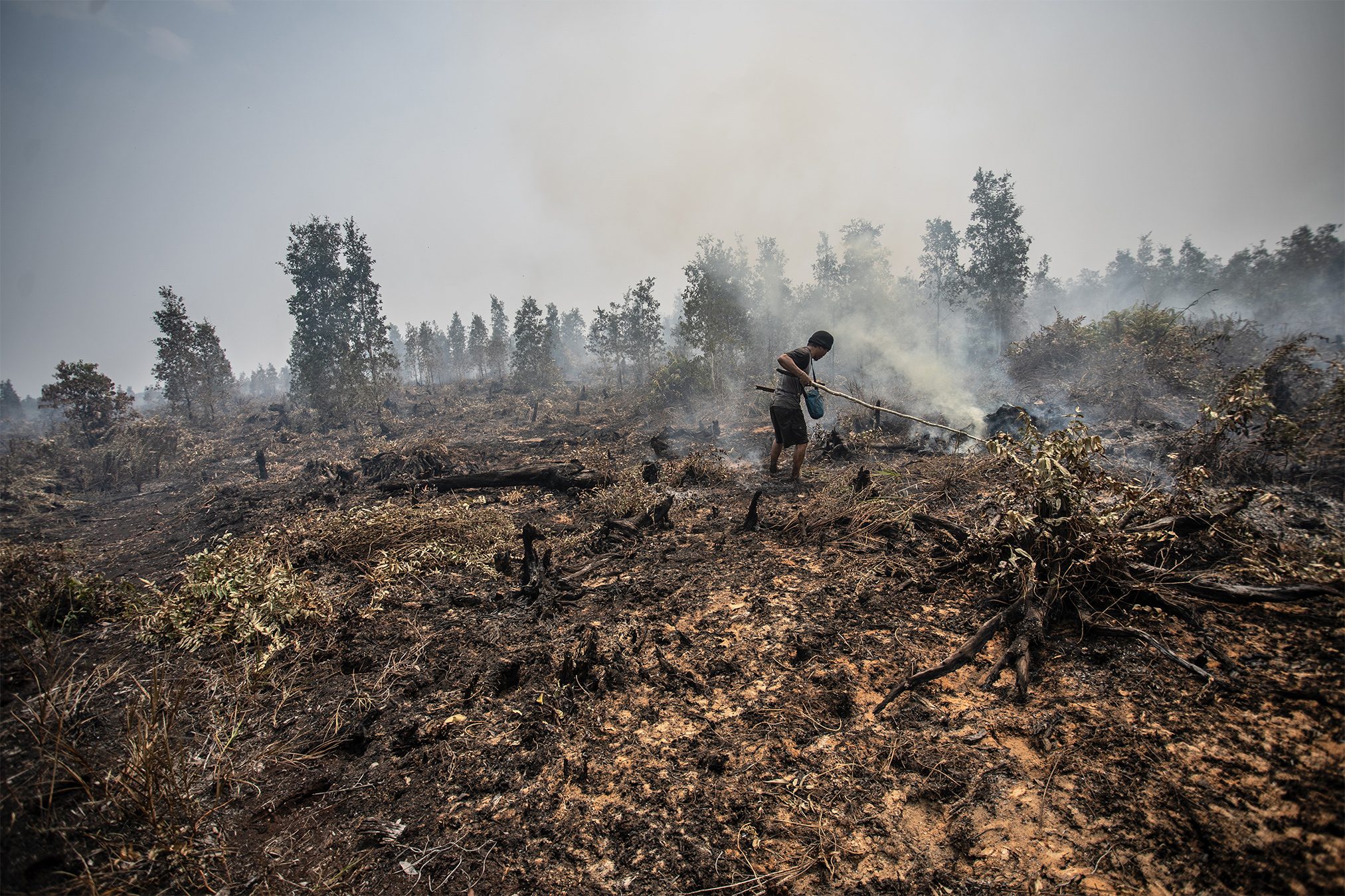 El Niño Poses Structural Challenge to Asia's Governance