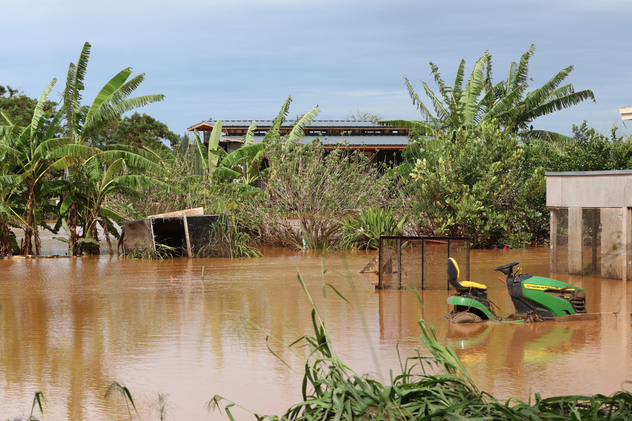 Hawaiʻi's Food System Reassessment Offers Lessons for Asia-Pacific Resilience