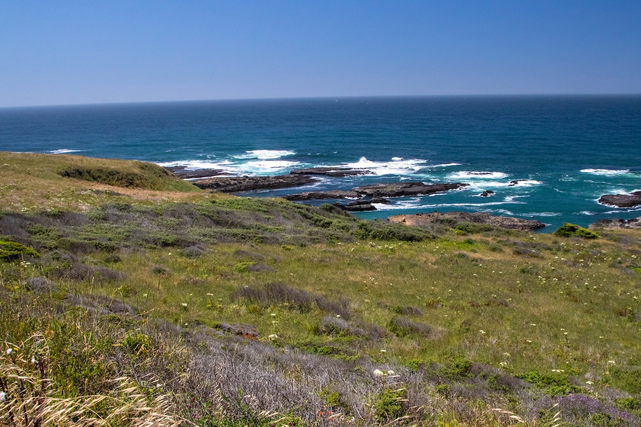 Land Return in California Challenges Prevailing Conservation Models