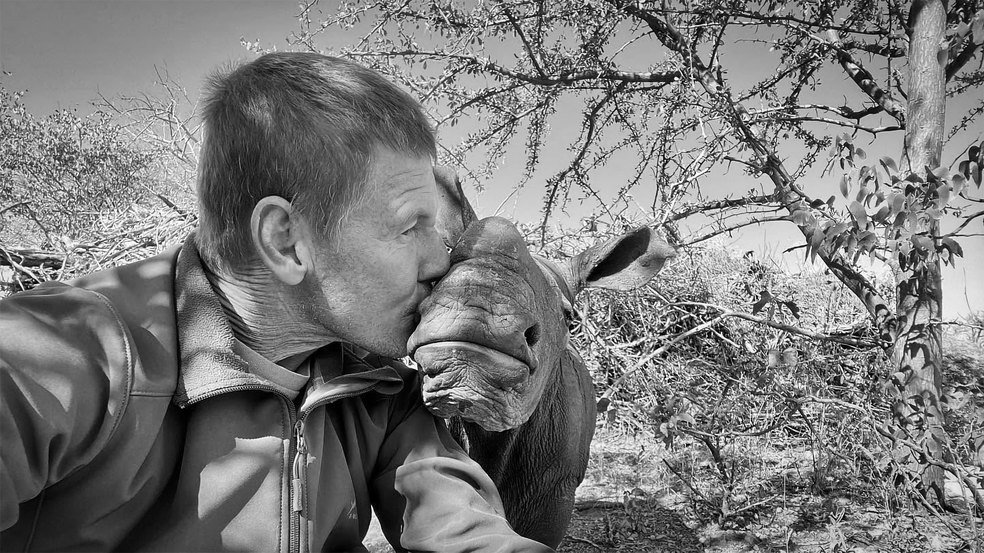 Namibian Rhino Breeding Offers Limited Lessons for Asia's Conservation Challenges
