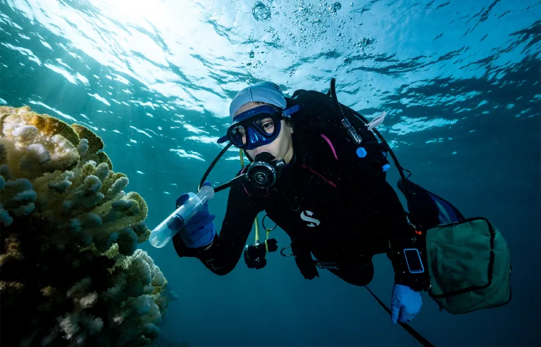 Probiotics Offer a New Angle in Asia's Coral Preservation Challenge