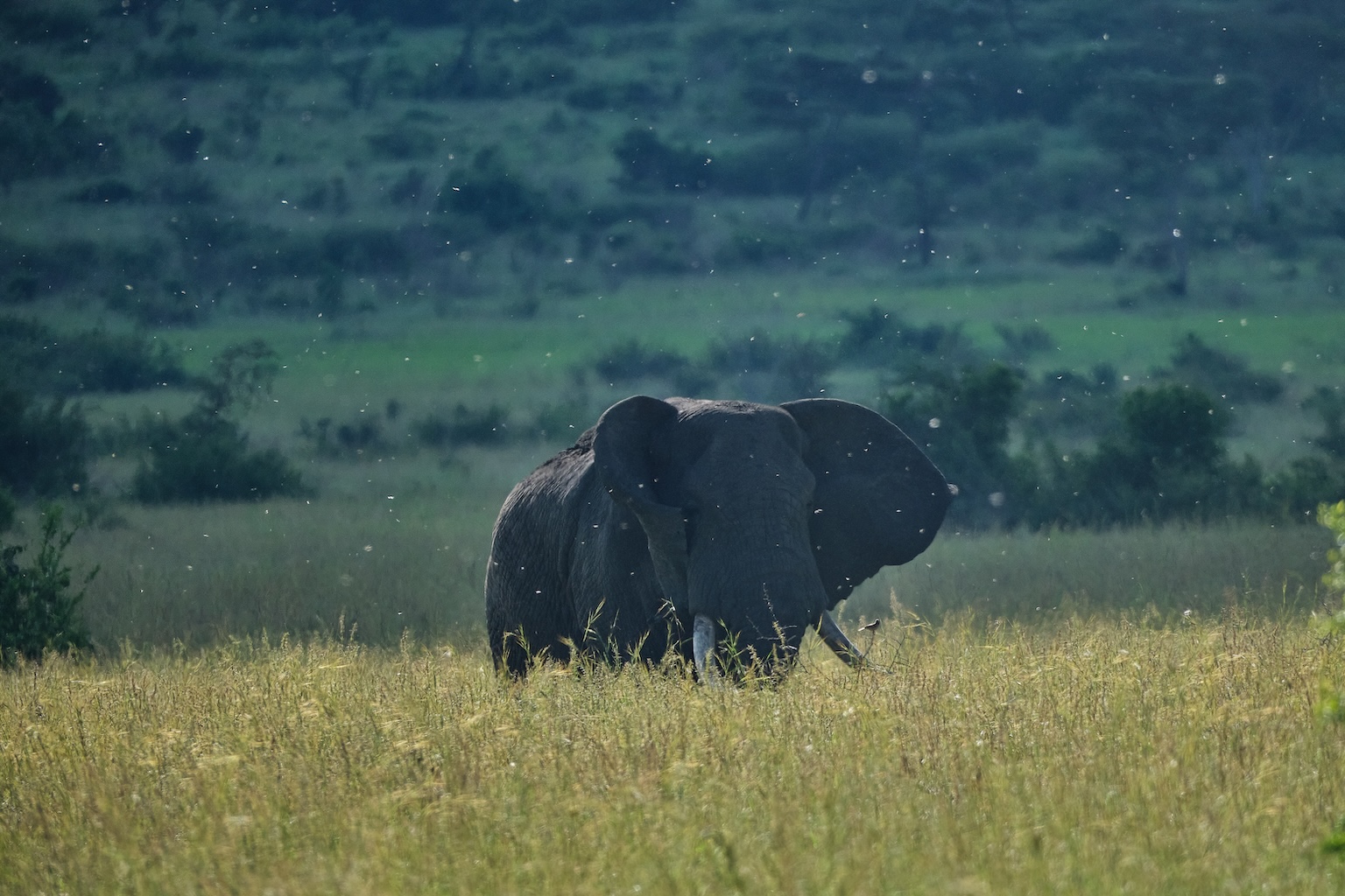 The Cost of Conservation Arithmetic
