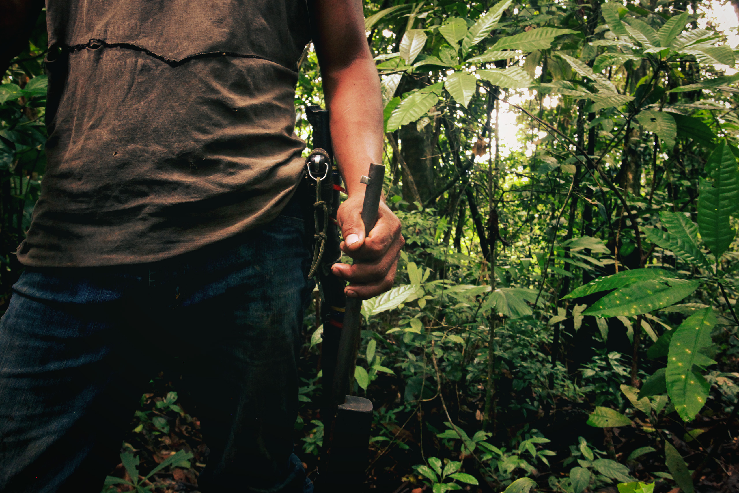The Vienna Environmental Crime Mandate Meets Oceanic Reality