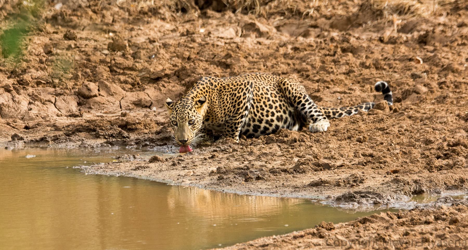 Water Scarcity Fuels Desperation: A Regional Outlook