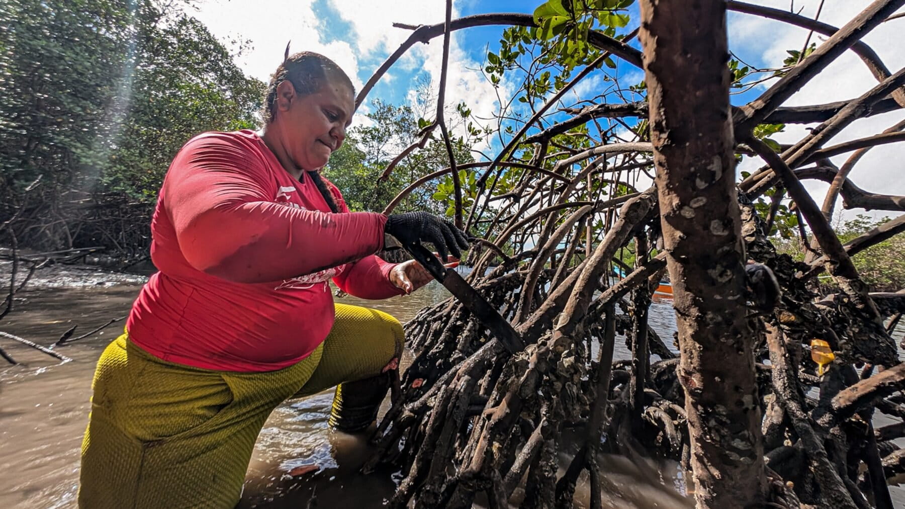 Waterway Enclosure Alters Artisanal Access on the Vaza-Barris River