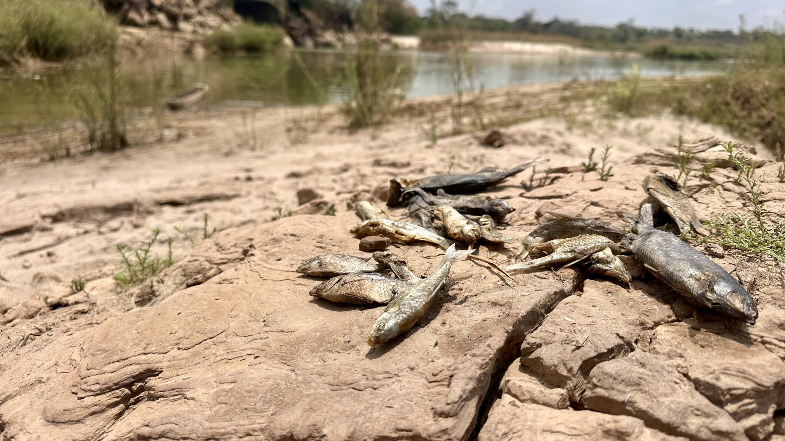 Zambian Mine Spill Underscores Persistent Risk of Transnational Pollution in Asia-Pacific