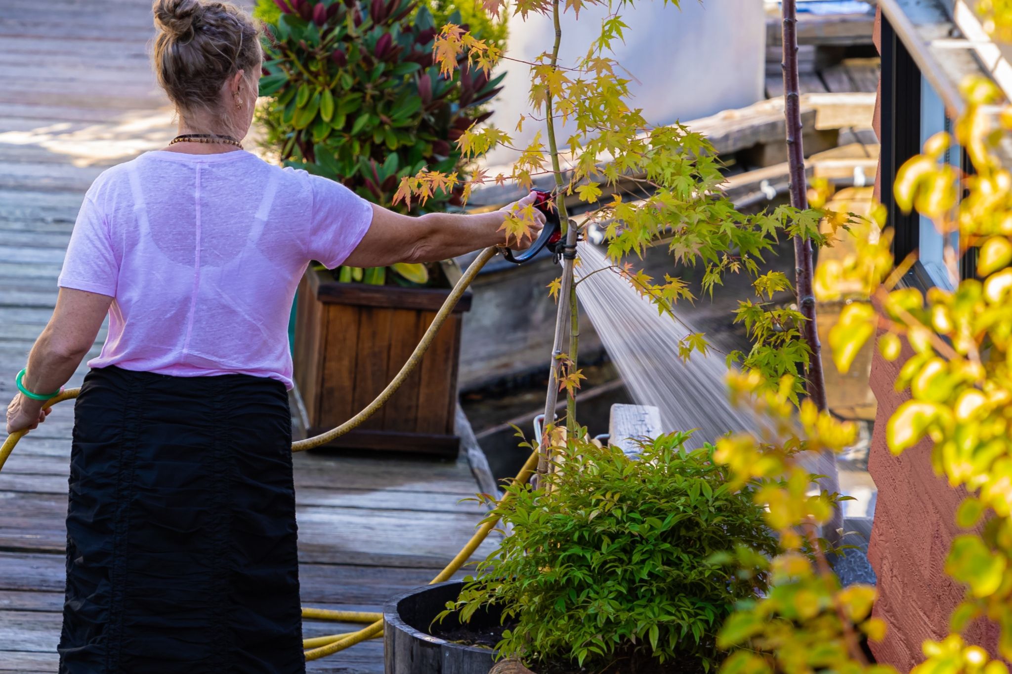 A Longer Drought's Bitter Harvest for Asia's Kitchens