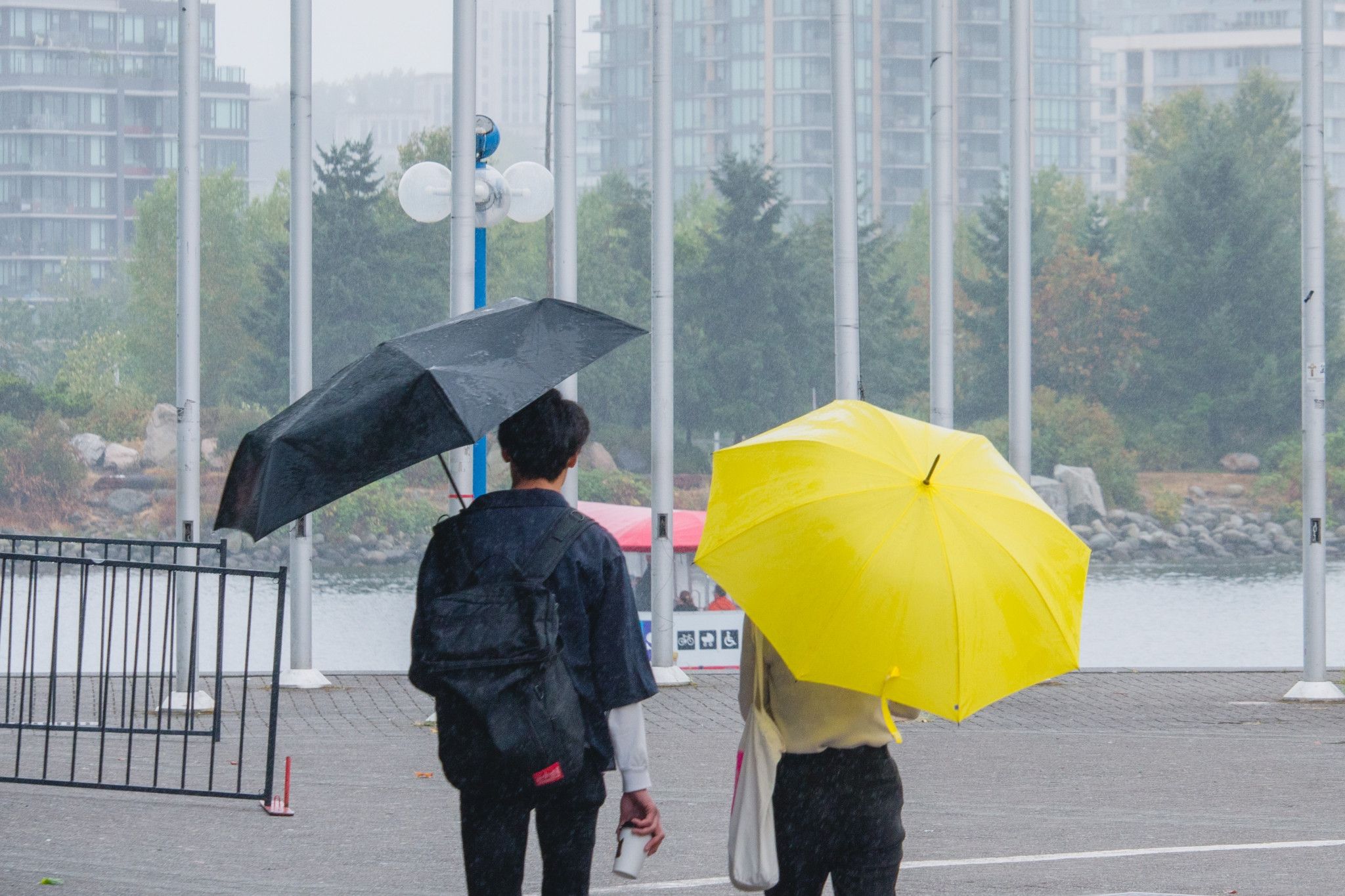 A Momentary Chill in Vancouver: A Reminder of Asia's Enduring Seasons