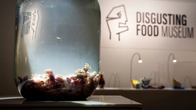 Distinguishing Delicacy: The Commercial Calculus of Disgust