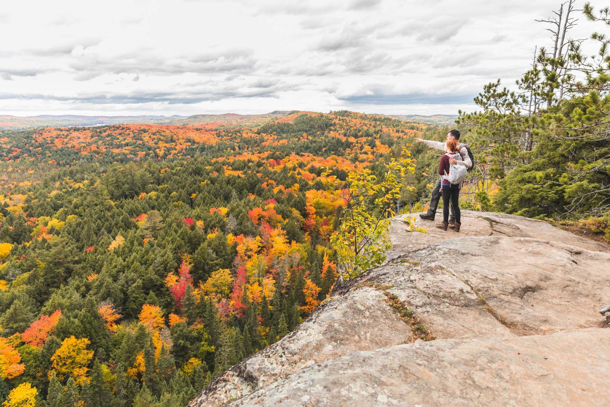 Marketing Fall Foliage: A Limited Harvest for Asia-Pacific Tourism