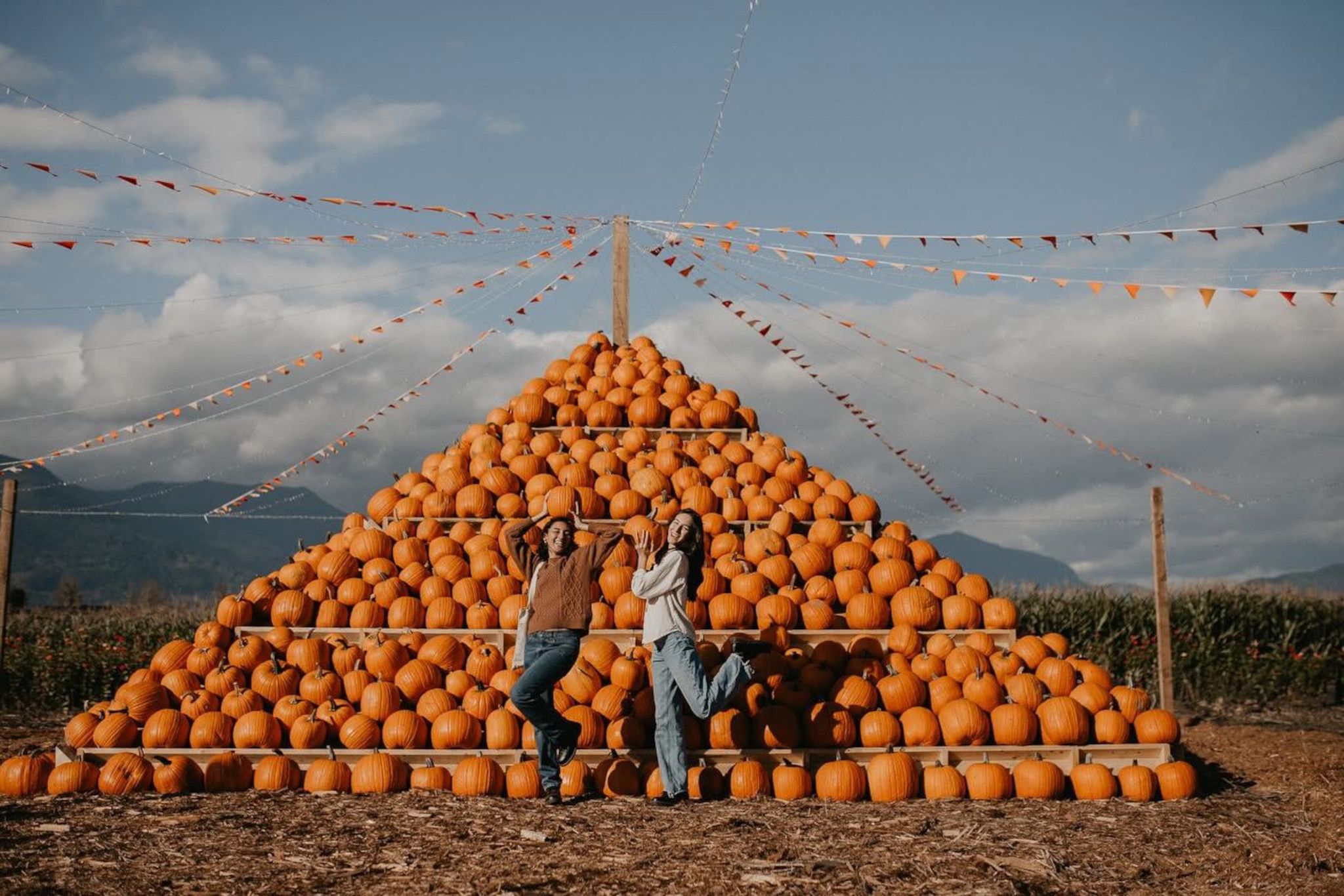 The Allure of the Fleeting: Examining Vancouver's Seasonal Culinary Economics