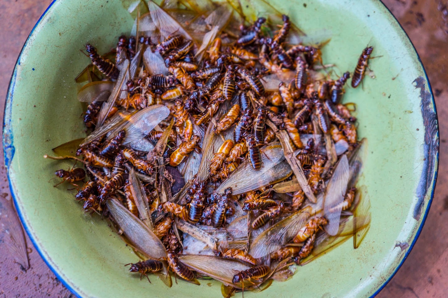 The Commercial Limits of Subsistence Nutrition