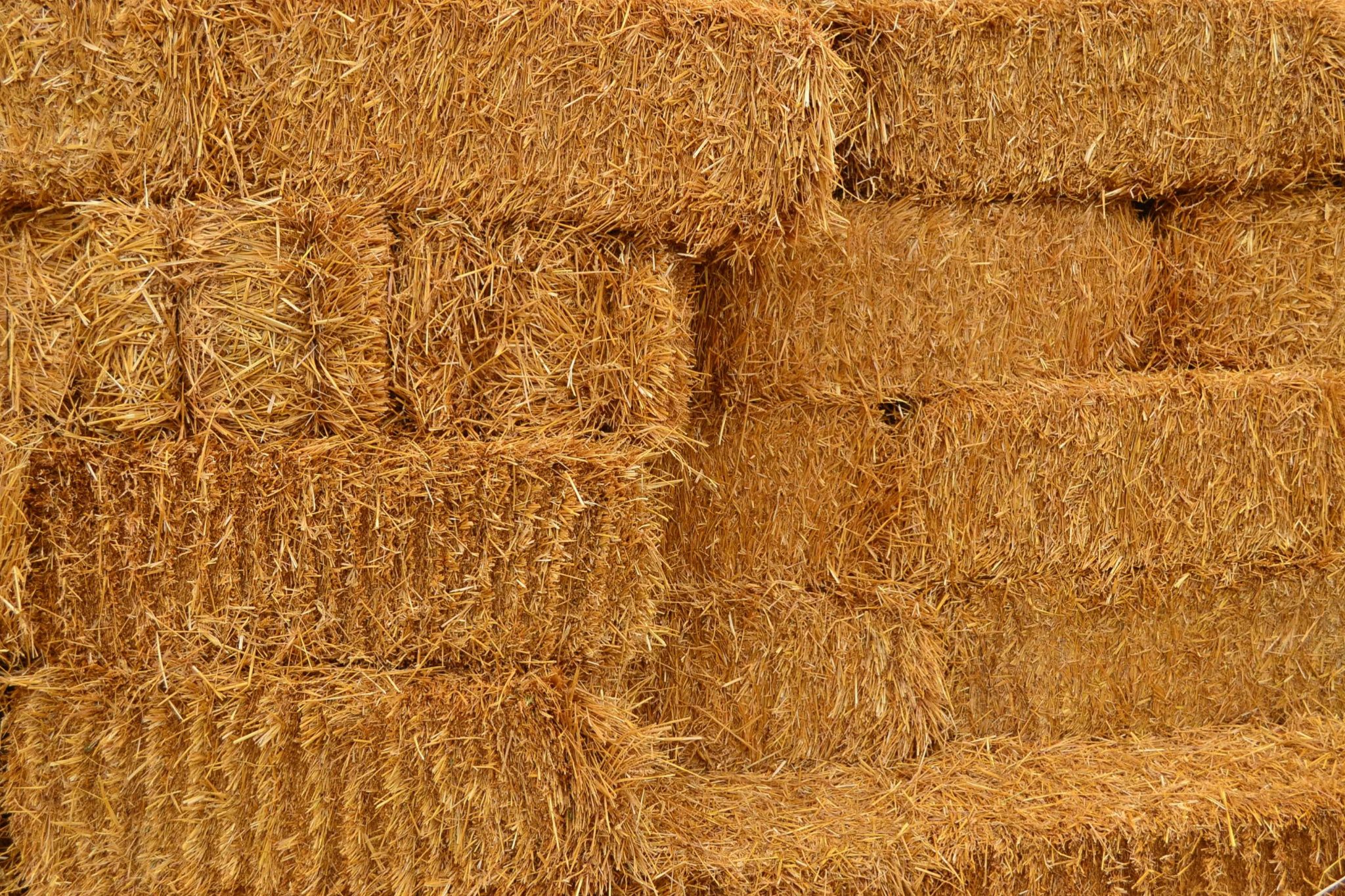 The Margin of Quality: A Local Feed Dispute's Global Echoes