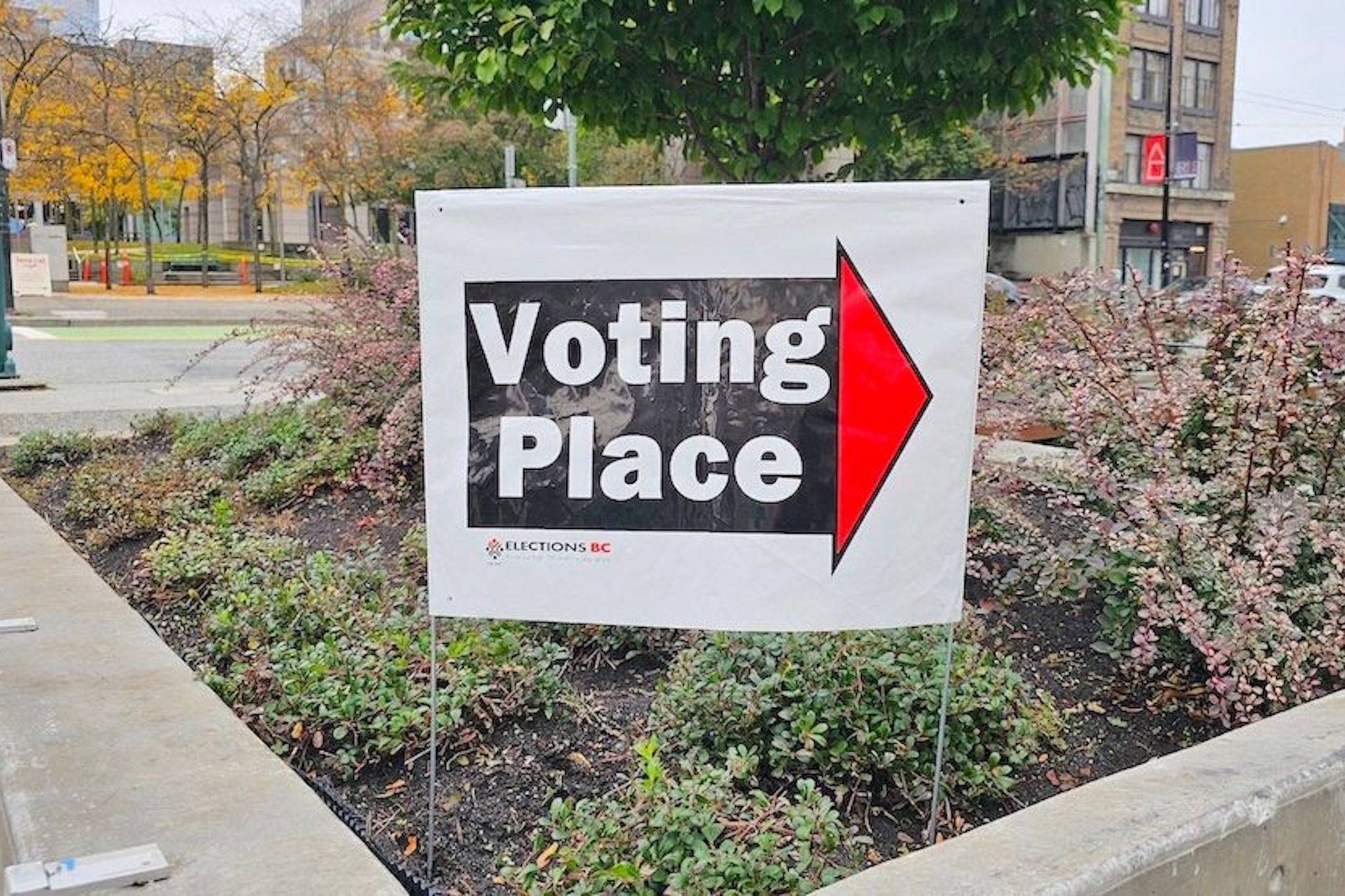 The Receding Advance Ballot and the Changing Rhythm of Pacific Civic Ritual