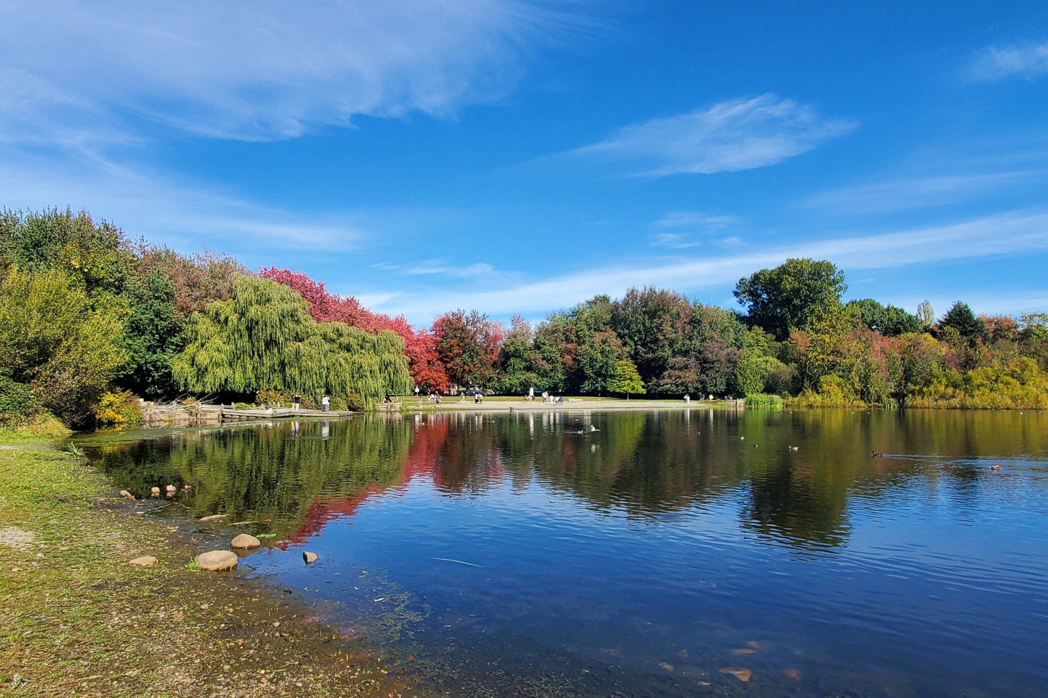 Vancouver's Autumn Chill: A Subtle Shift in Urban Rhythms