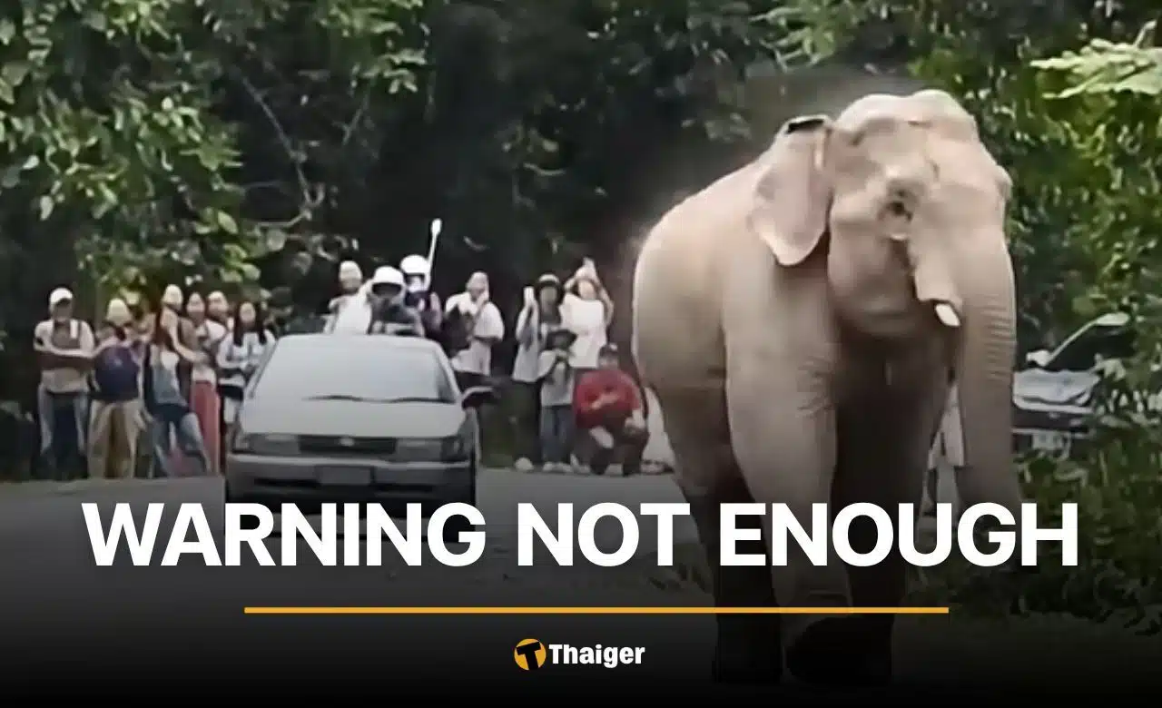 Road Behavior in Khao Yai Reveals Wider Tensions