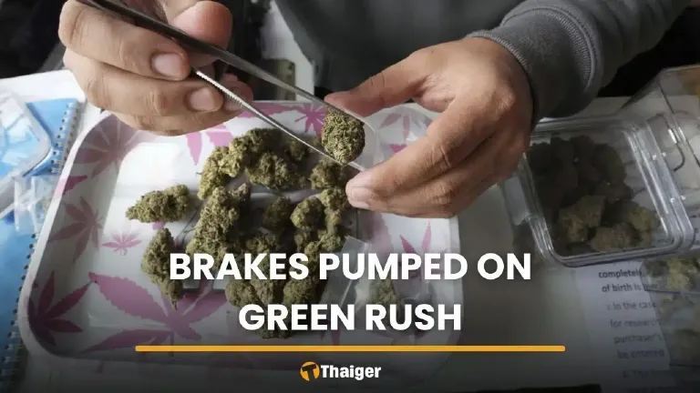 Thai Cannabis Backlash: A Budget Rethink for Businesses and Consumers