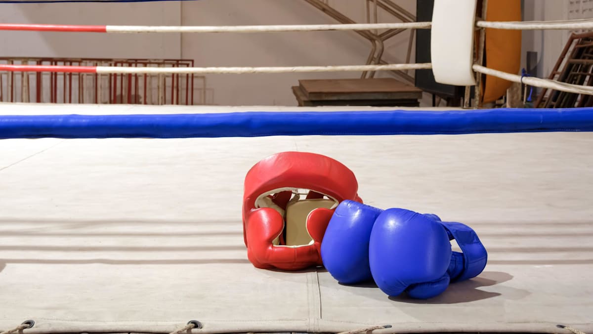 A Fighter's Death and the Lingering Cost of Spectacle