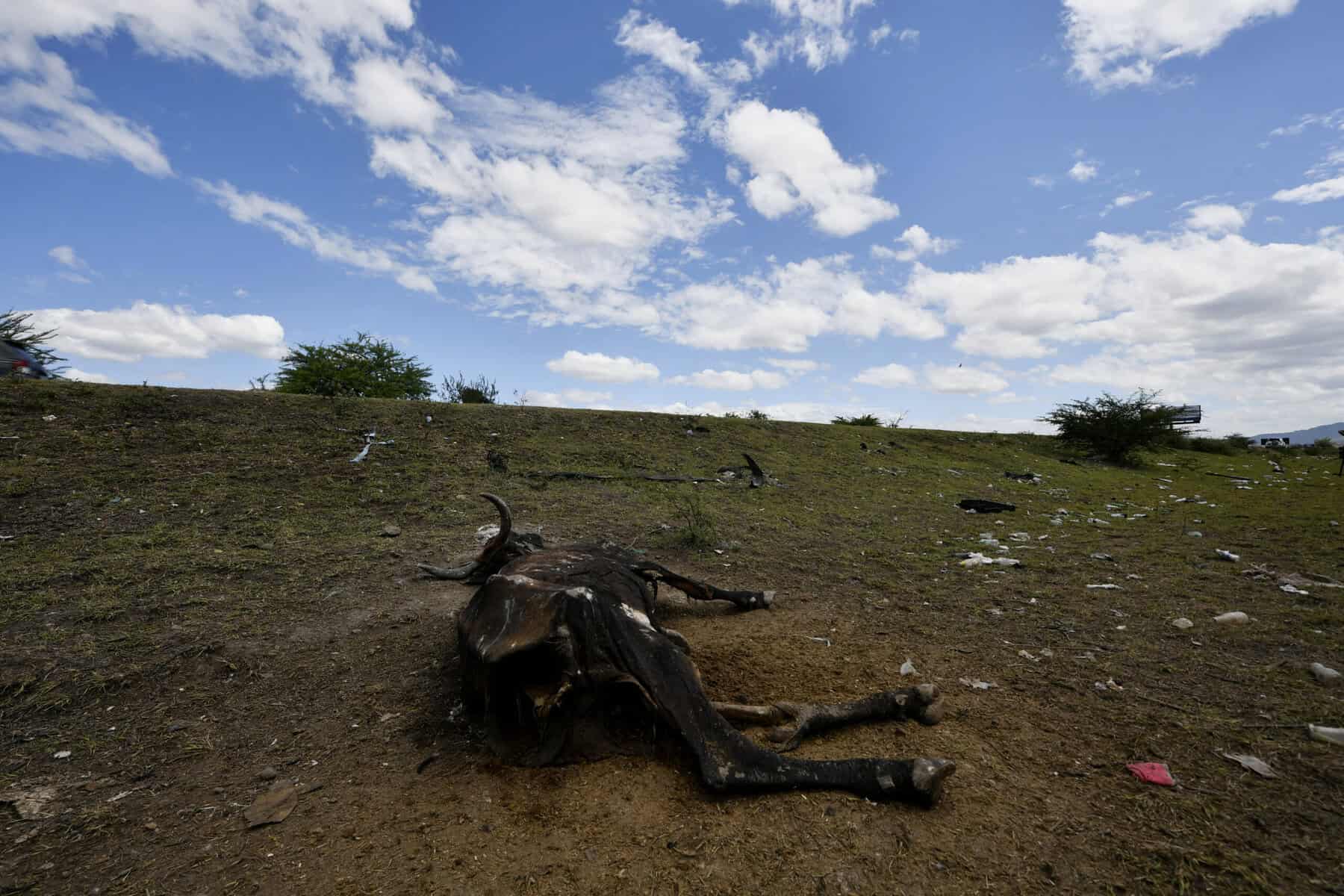 A Shifting Landscape: Asia's Vulnerability to Distant Climatic Patterns