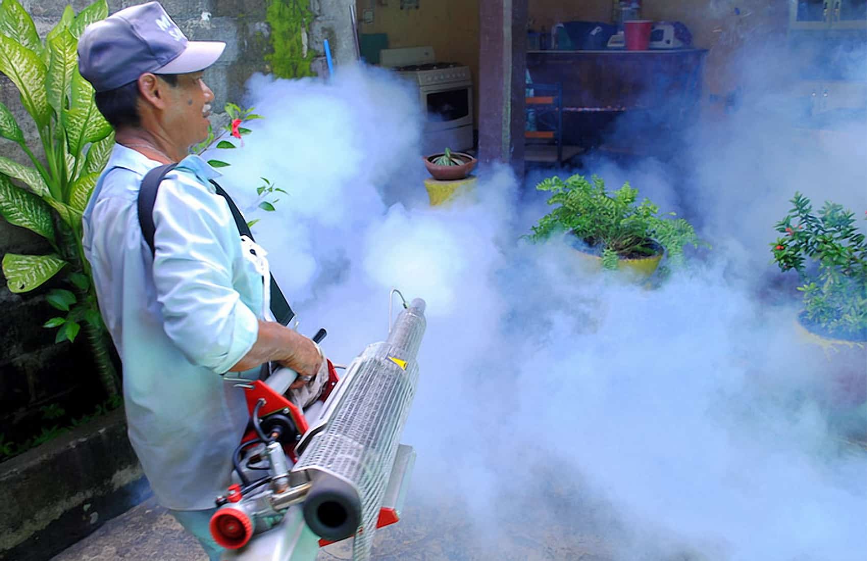 A Shifting Landscape: Costa Rica's Mosquito-Borne Challenge Echoes Across Distant Shores