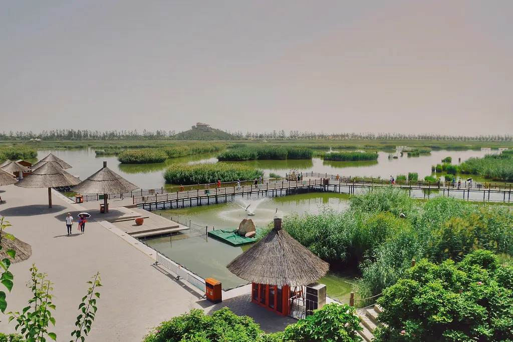 ‣ 中國寧夏沙湖 ‣ #china #travel #chinatravel #igphotographers #photography #sofenphotography