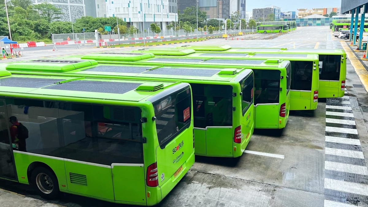 Bus Operations: The Systemic Vulnerability of Driver Reliance