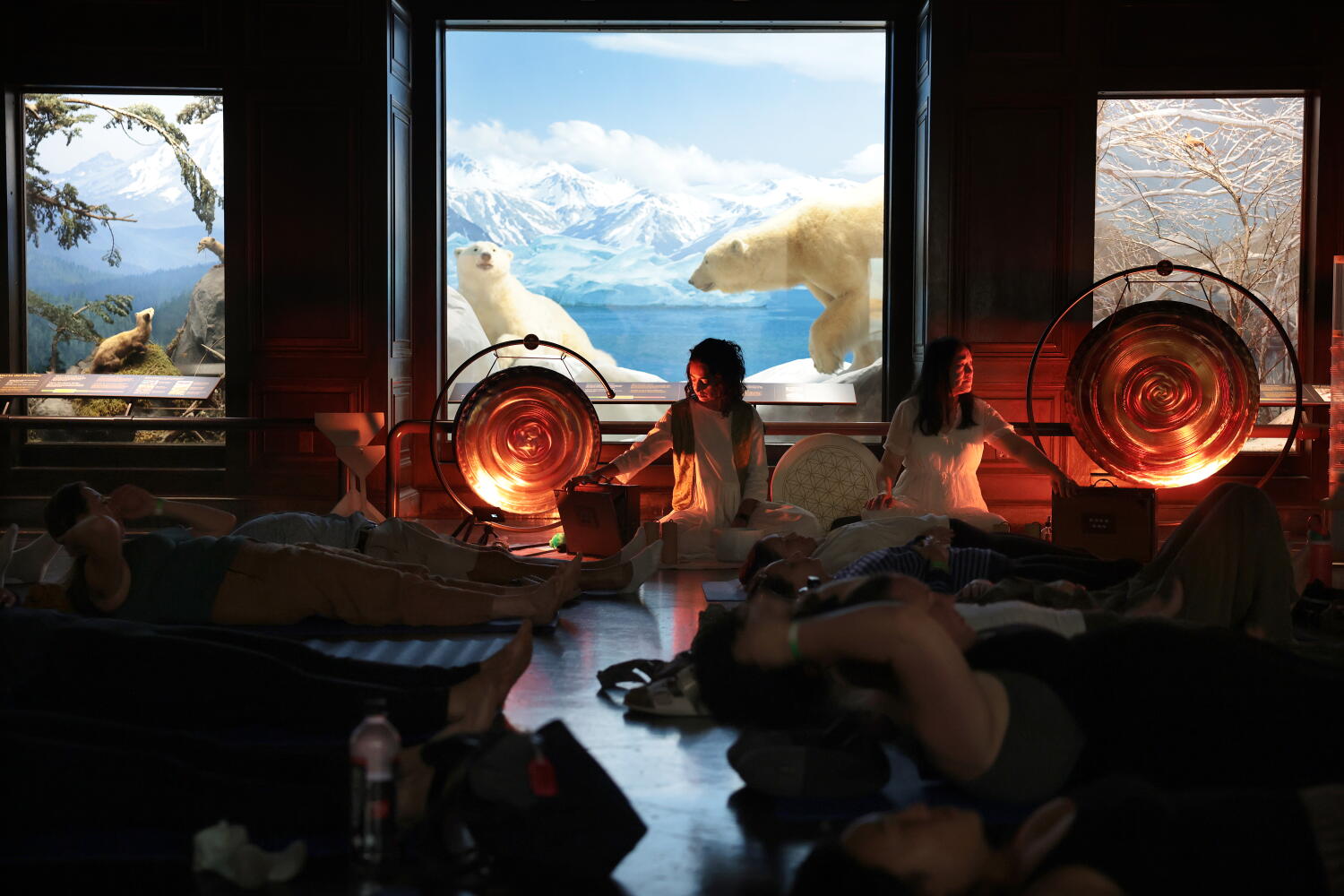 Echoes in the Hall: The Unsettling Serenity of Museum Sound Baths
